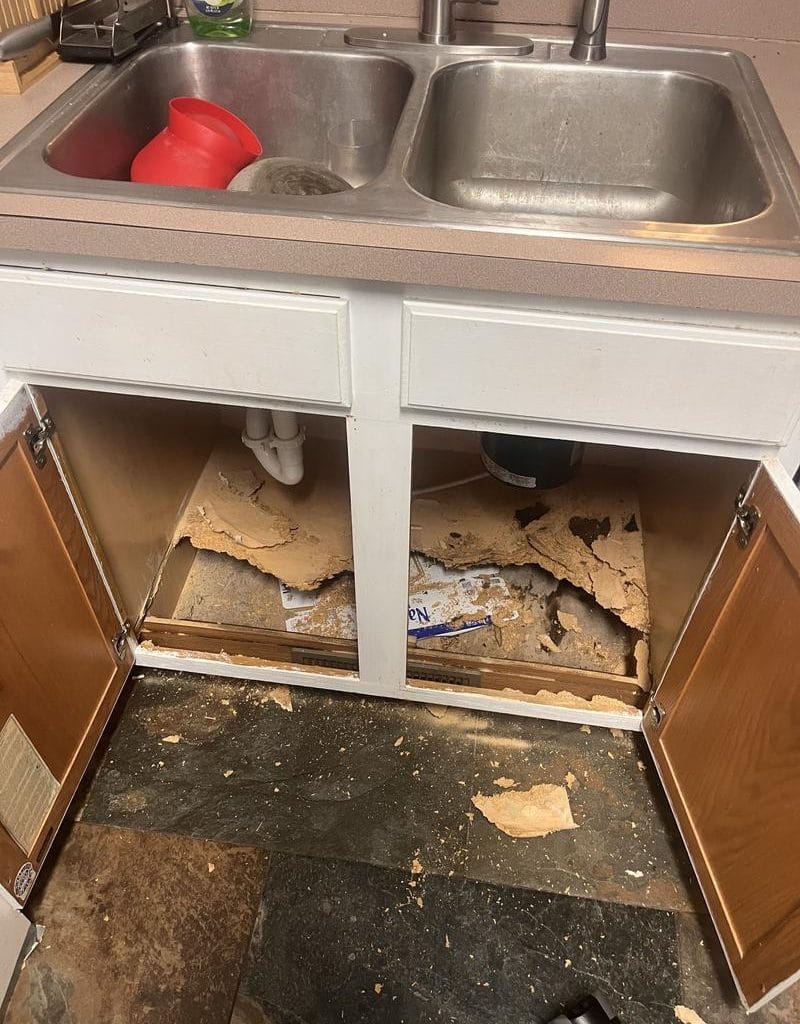 Damaged cabinet under kitchen sink.
