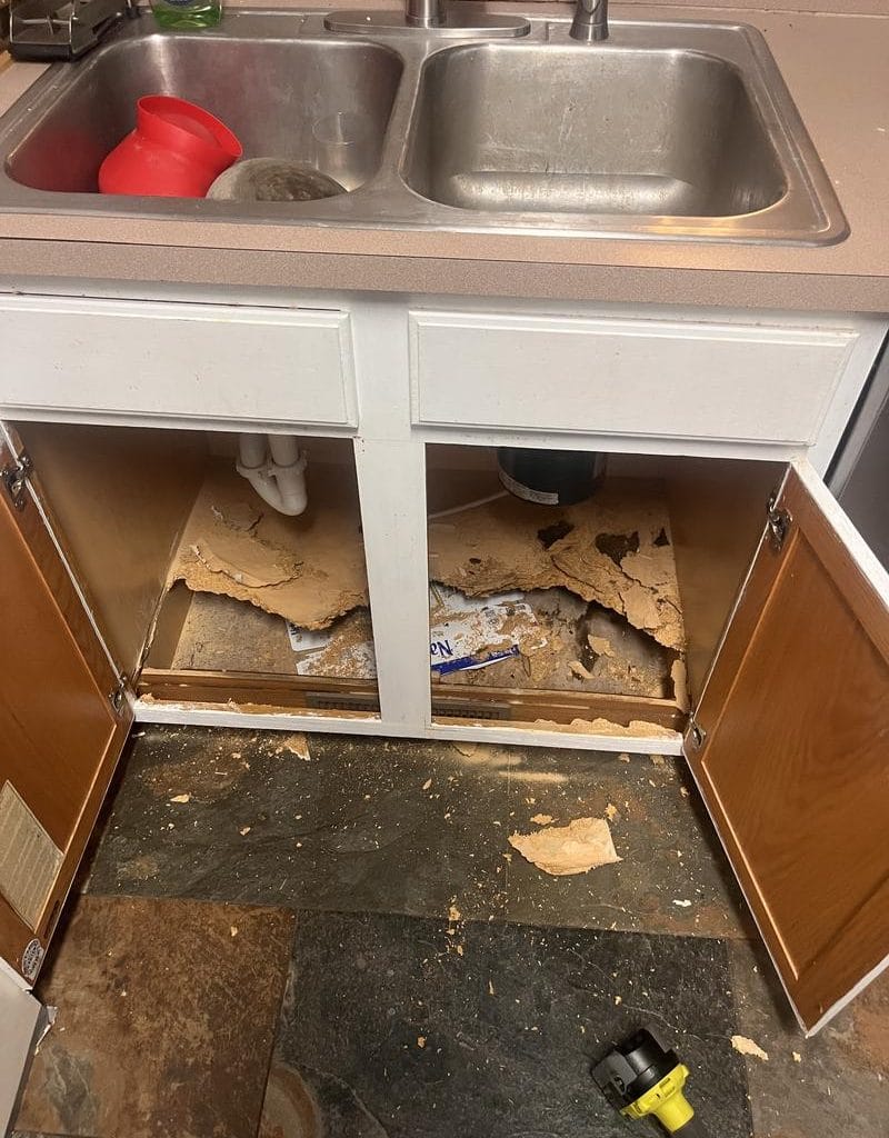 Damaged cabinet under kitchen sink.